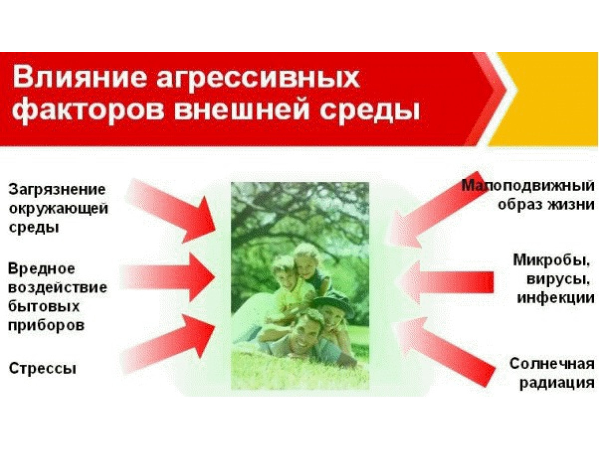 Антиоксиданты – наше спасение?